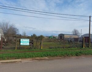 WhatsApp Image 2023-07-11 at 17.41.16