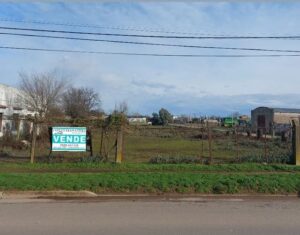 WhatsApp Image 2023-07-11 at 17.41.17