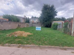 Imagen de WhatsApp 2024-03-20 a las 08.34.20_c6b28415